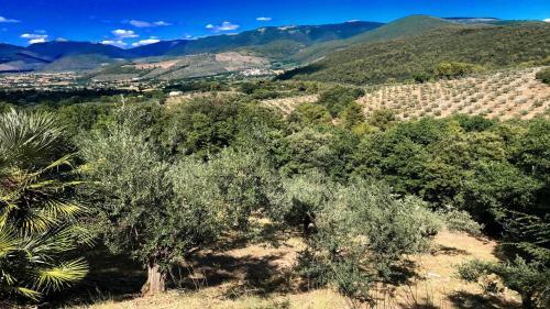 Villa Vallocchia - Sleeps 18 Exclusive Poolgrounds 4