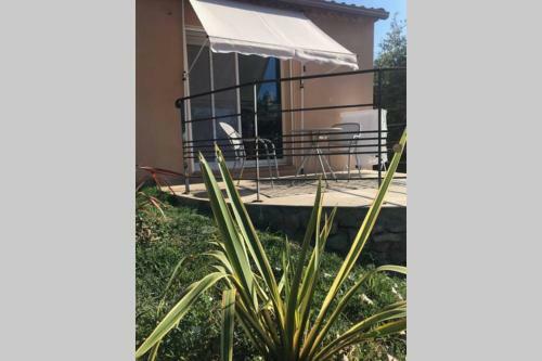 Apartamento Logement Attenant � Une Villa T2 Avec Terrasse .