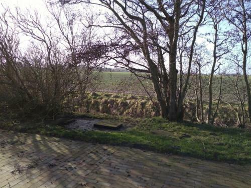 K�stersmatt Am Deich, Minsen