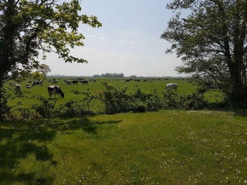 Apartamento Nordseeflair Eg, Wiarden