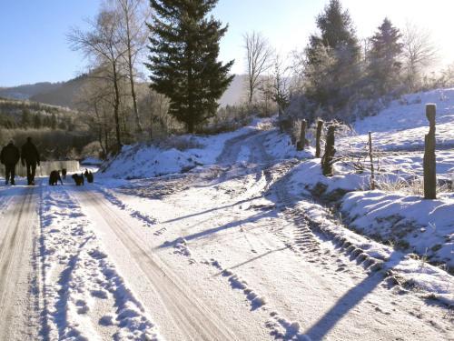Holiday Home Maison de La Creuse Celles Sur Plaine