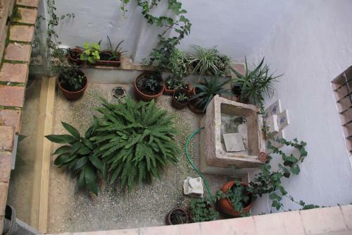 Las Coles Apartasuites