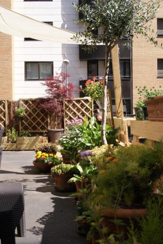 Aloha Hostel