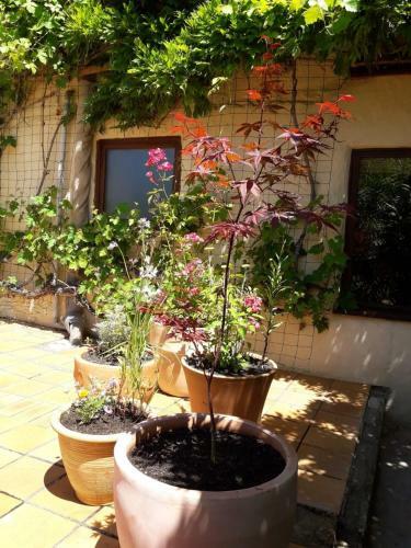 La Maison De Thelma