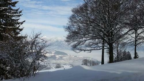 Hostal Garn� Fobbie