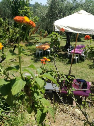 Apartamento Vacanze In Collina, Tra Mare E Monti