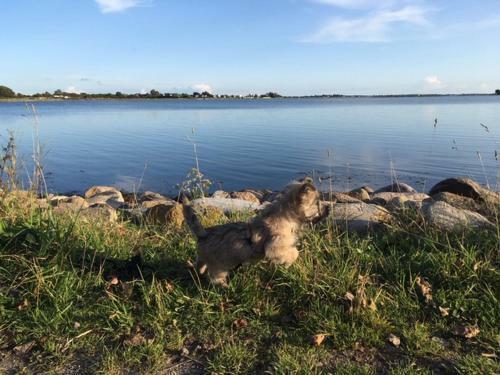 Apartamento Zur M�hle Lemkenhafen Auf Fehmarn