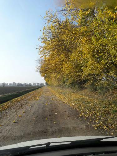 Bed & Breakfast Casale La Decima