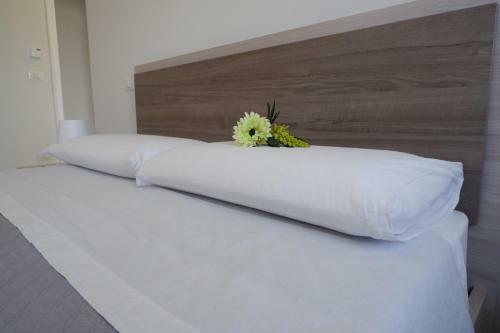 Agroturismo Natural House