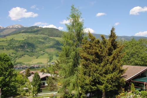 Ferienh�uschen In Niedernsill/zell Am See