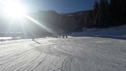 Ferienh�uschen In Niedernsill/zell Am See