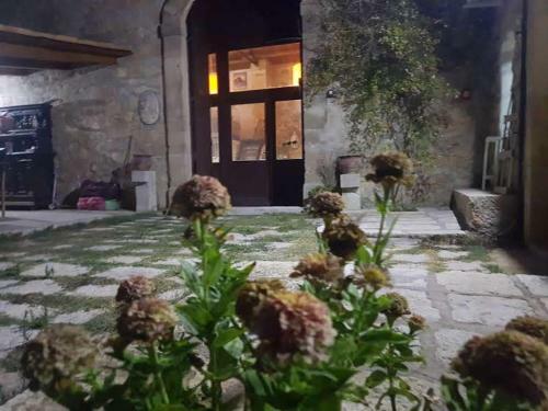 Agroturismo Cenamusicaepernottamento