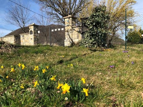 Bed & Breakfast La Locanda Nel Vento
