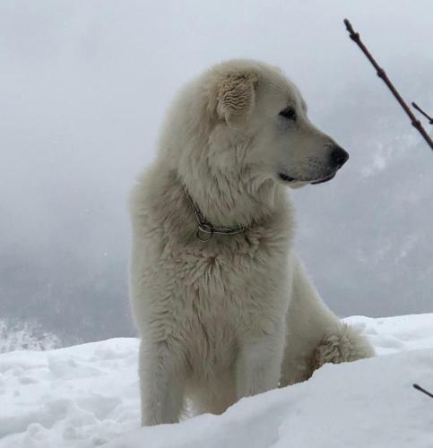 Bed & Breakfast La Locanda Nel Vento