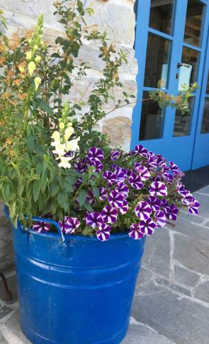 Bed & Breakfast La Locanda Nel Vento