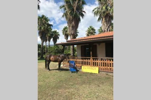 New Ranch Club Bungalow, 3 Min Del Mar