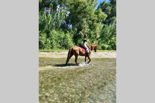 New Ranch Club Bungalow 2, 3 Min Del Mar