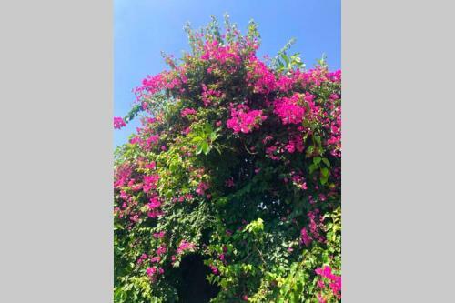 New Ranch Club Bungalow 2, 3 Min Del Mar