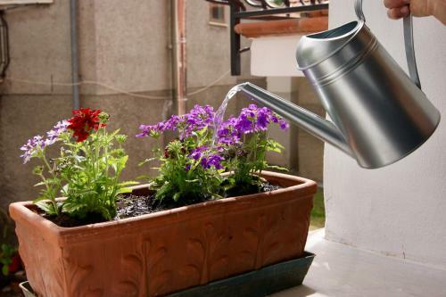 Bed & Breakfast Un Coccodrillo A Frassino