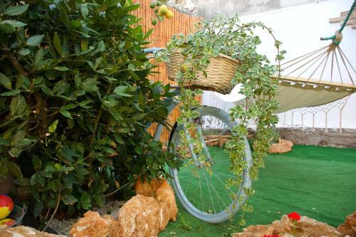 Bed & Breakfast Bnb Le Janas
