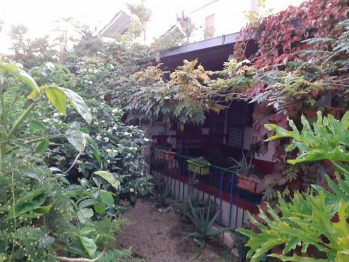 Bed & Breakfast Paui