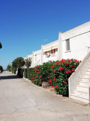 Apartamento Appartamento 28