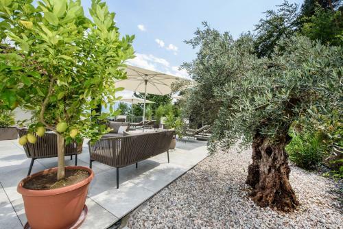 Apartamento La Vinea