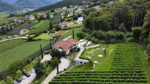Apartamento La Vinea