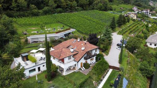 Apartamento La Vinea
