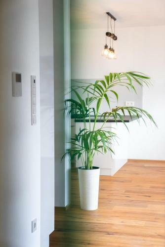 Apartamento The Penthouse By Hoila Guests