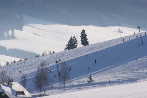 Hotel Schwarzwaldgasthof Zur Traube