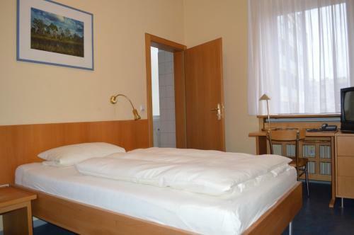 Hostal Gasthaus Goldene Gans