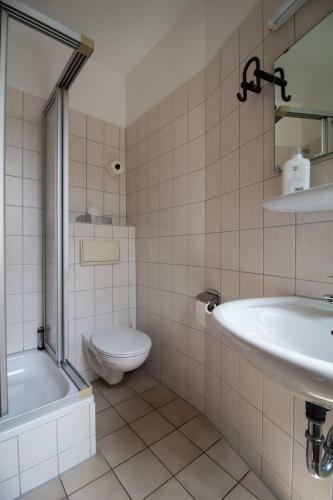 Hostal Gasthaus Goldene Gans