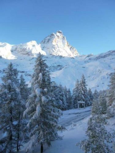 Apartamento Residenza Dello Sparviero Cervinia