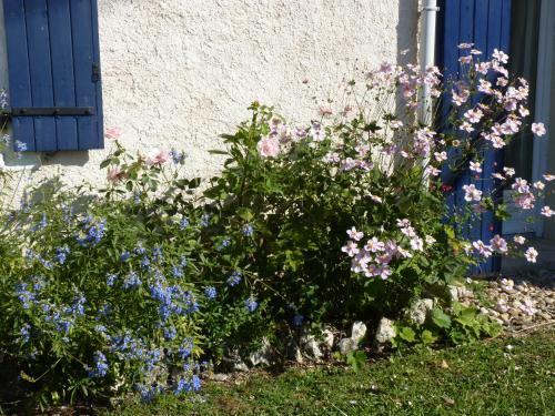 Maison � La Campagne