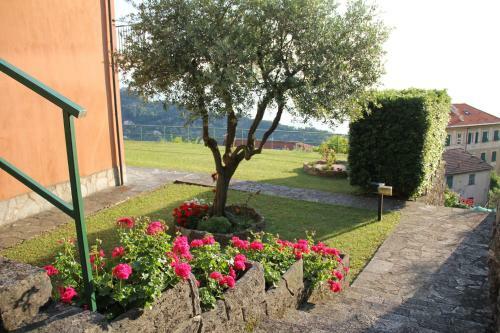 Host Alla Millenaria