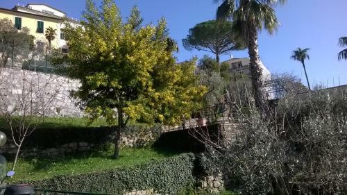 Host Alla Millenaria