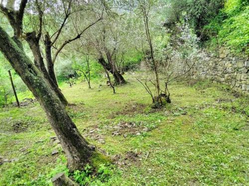 Apartamento Villa Olivari - Apt Il Melograno