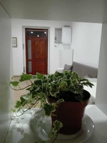 Apartamento Al Centro Di Cagliari