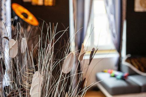 Apartamento L?effusion
