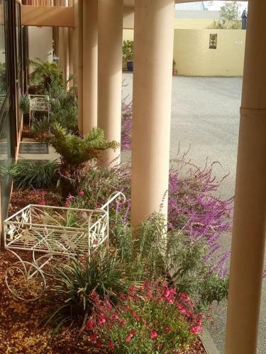 Winsor Park Motor Inn