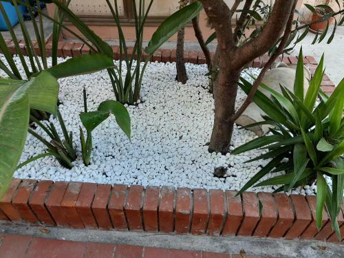 Apartamento Oleandro