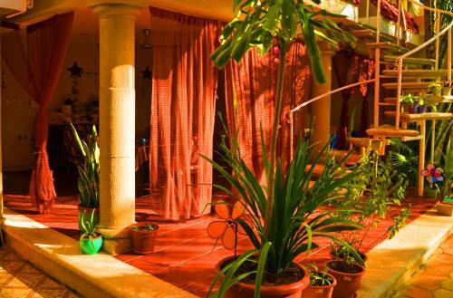 Tu Casa B&B Cozumel