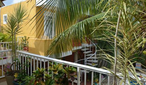 Tu Casa B&B Cozumel