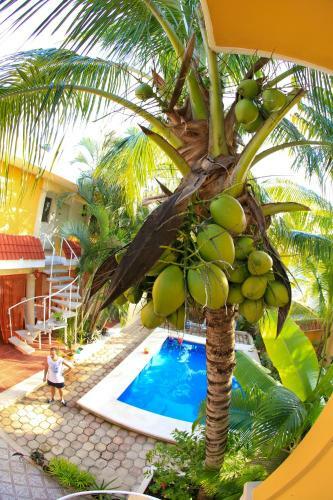 Tu Casa B&B Cozumel