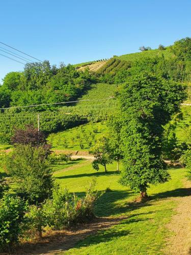 Agroturismo Aleks Friendly House