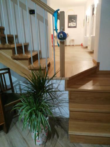 La Corte B&B