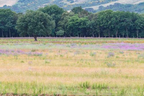Agroturismo Agriturismo Il Paradiso Di Berignone