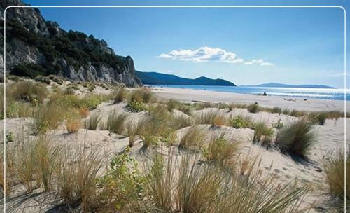 Bed & Breakfast Casale Artemisia Capalbio