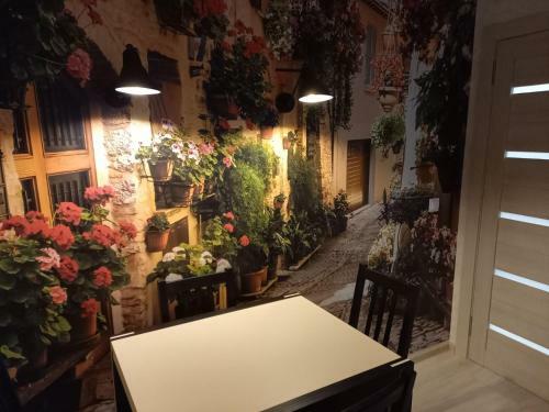 Apartamento ?????? ?????????? 1????????? ?? ???????